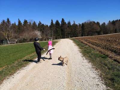 Hundeauslaufgebiet-Brainkhofen-Bild