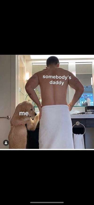 Hunde Memes-Beitrag-Bild