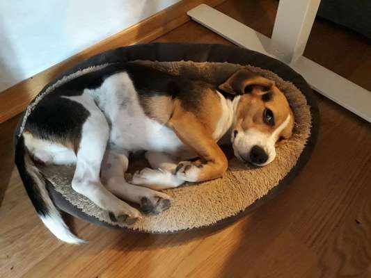 Was würdest du jetzt anders machen?-Beitrag-Bild