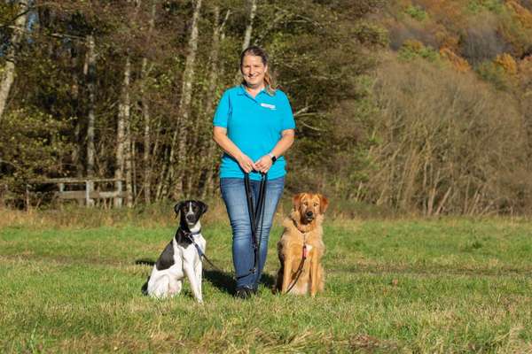 Hundeschulen-Martin Rütter Hundeschule Birkenfeld / Merzig-Bild