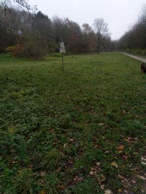 Hundeauslaufgebiet-Monte Scherbelino-Bild