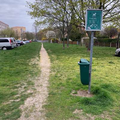 Hundeauslaufgebiet-Schillerplatz-Bild