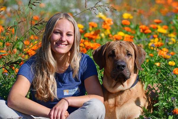 Hundeschulen-Martin Rütter DOGS Neuss/Pulheim - Victoria Frohn-Bild