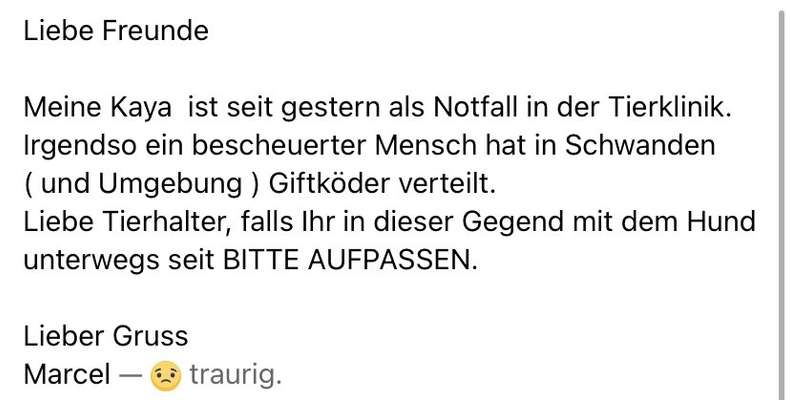 Giftköder-Verletzter Hund (vergiftet)-Bild