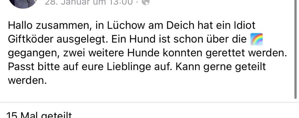 Giftköder-Vergifteter Hund-Bild