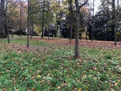 Hundeauslaufgebiet-Schloss Dachau-Bild