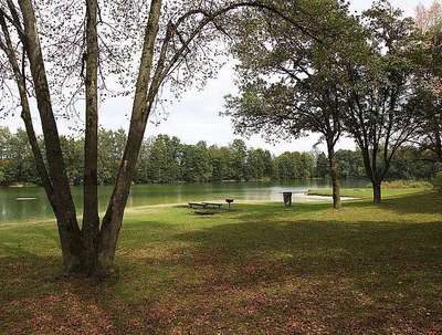 Hundeauslaufgebiet-Stadtweiher Dachau-Bild