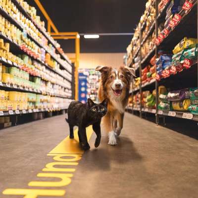 Hundetreffen-Eröffnungsfeier ZooRoyal Düsseldorf-Bild
