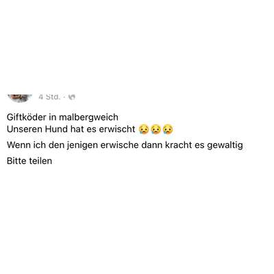 Giftköder-Vergifteter Hund-Bild