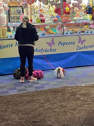 Was hat euch heute genervt?-Beitrag-Bild