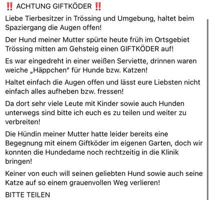 Giftköder-Vergifteter Hund-Bild