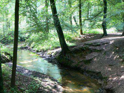 Hundeauslaufgebiet-An der Burg/Silvertbach-Bild