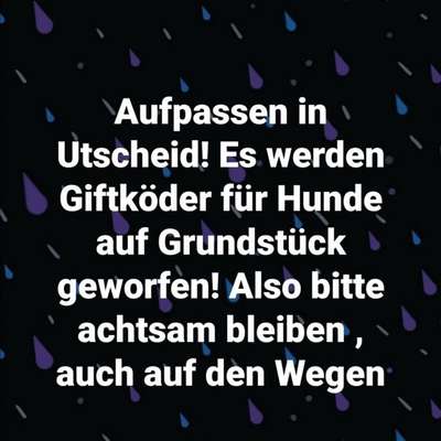 Giftköder-Giftköder in Grundstück-Bild