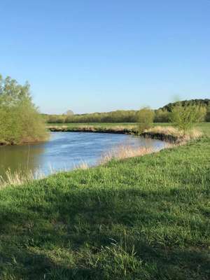 Hundeauslaufgebiet-Allerwiese klein Hehlen-Bild