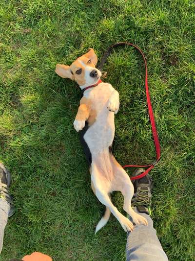 Fotochallenge No. 5-Beitrag-Bild