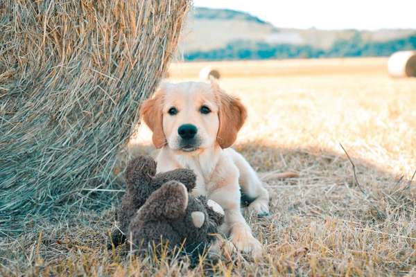 Sie werden so schnell erwachsen ...-Beitrag-Bild