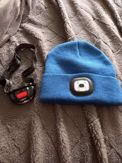 Samojede-Beitrag-Bild