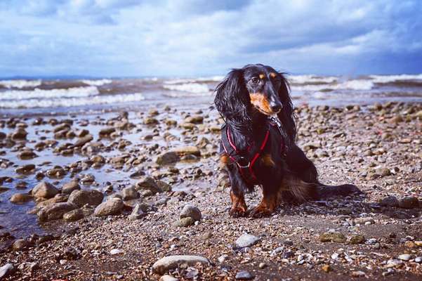 Austausch zur Fotografie-Beitrag-Bild