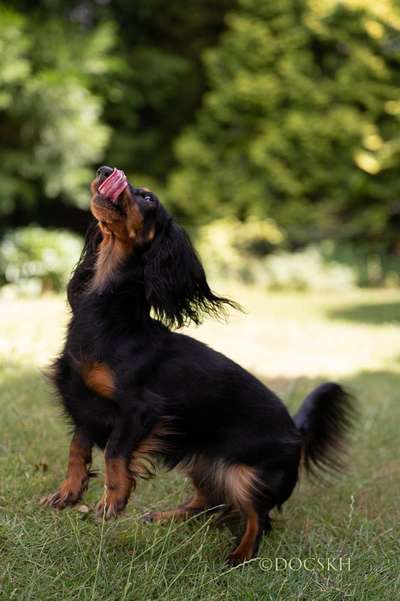 Austausch zur Fotografie-Beitrag-Bild