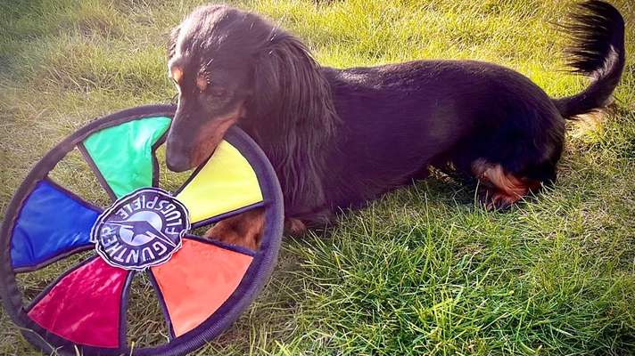 32. Farben Challenge  ** ( BUNTE ) STREIFEN **-Beitrag-Bild