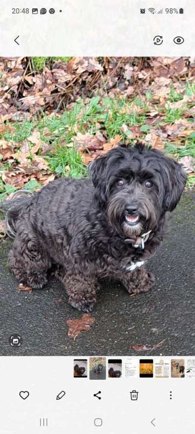 Vor dem Friseur - nach dem Friseur-Beitrag-Bild