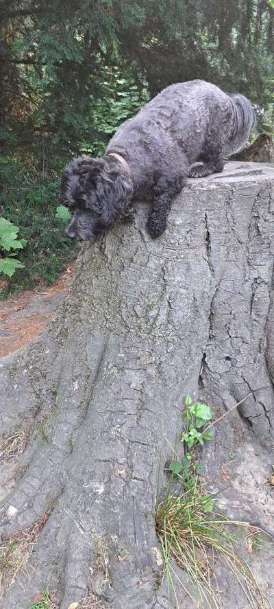 57. Handy Foto Challenge - klettern-Beitrag-Bild