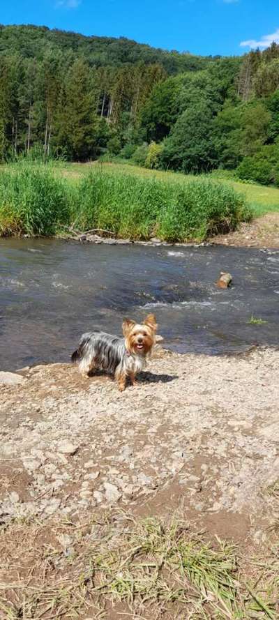 Theos Fotochallange Nummer 4-Beitrag-Bild