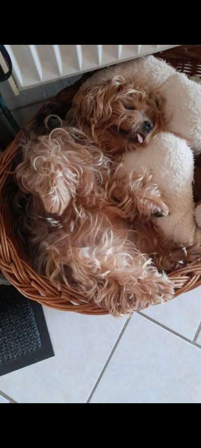 Foto Challenge Nr. 134-Beitrag-Bild