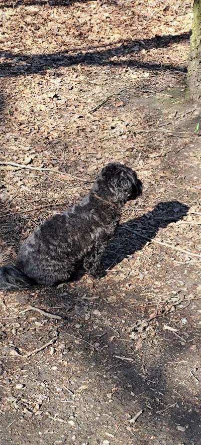 12. Farben Foto Challenge --- Braun-Beitrag-Bild