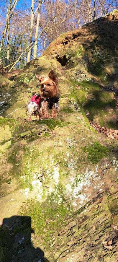 57. Handy Foto Challenge - klettern-Beitrag-Bild