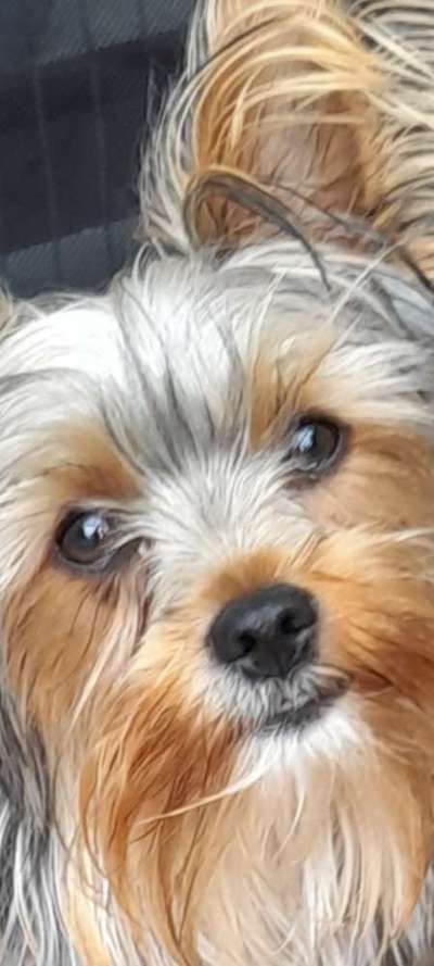 150. Foto Challaenge:  Die Augen, der Spiegel der Seele-Beitrag-Bild