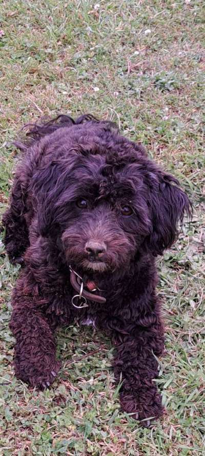 Moviestar-Pics!-Beitrag-Bild