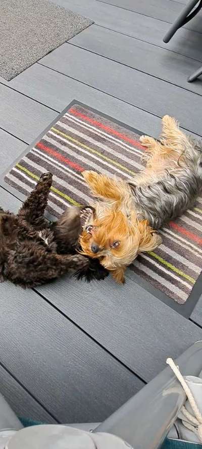 32. Farben Challenge  ** ( BUNTE ) STREIFEN **-Beitrag-Bild