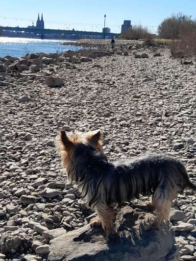 37. Collagen Challenge- Am Strand-Beitrag-Bild