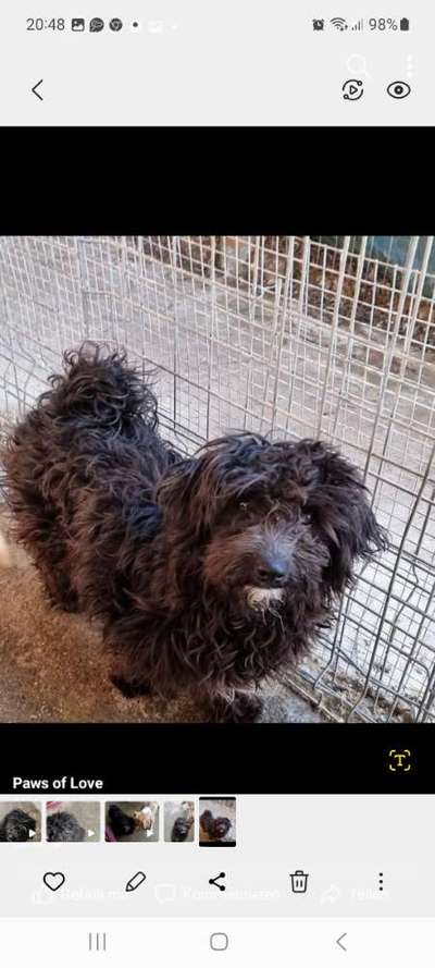 Vor dem Friseur - nach dem Friseur-Beitrag-Bild