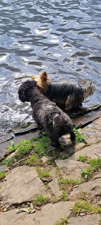 Eure schönsten Fotos mit Wasser-Beitrag-Bild