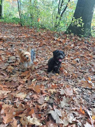 30. Collagen Challenge - Wege/Straßen-Beitrag-Bild