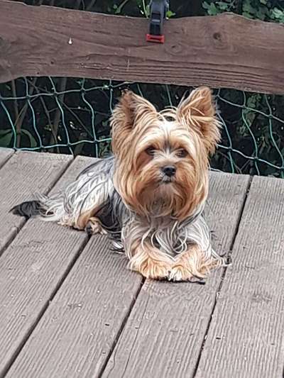 Doppelgänger gesucht !-Beitrag-Bild