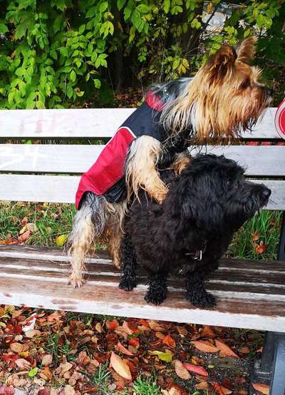 Foto Challenge Nr.: 115-Beitrag-Bild