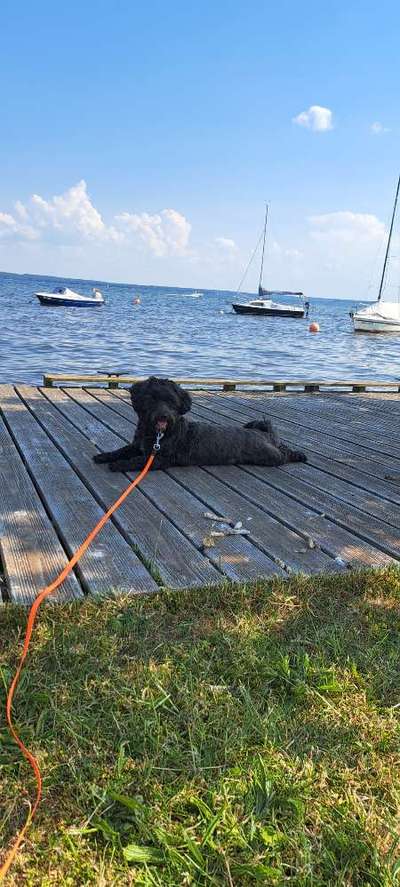 Zeigt eure schönsten Sommerbilder-Beitrag-Bild