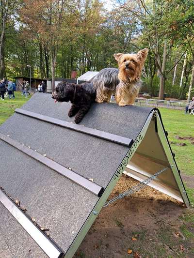 57. Handy Foto Challenge - klettern-Beitrag-Bild