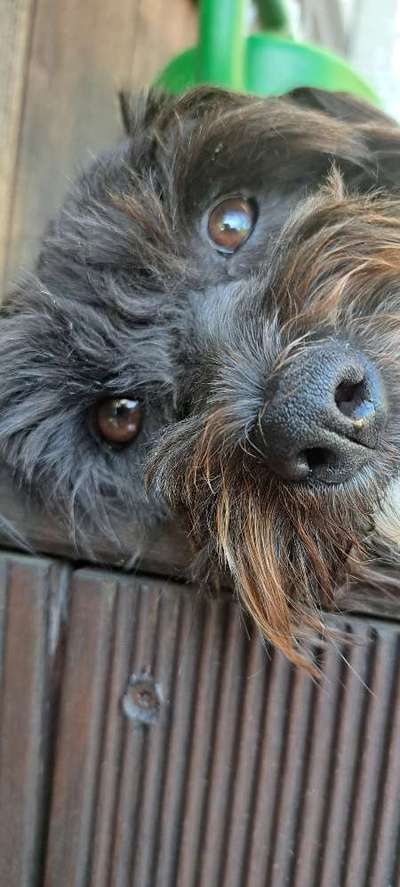 150. Foto Challaenge:  Die Augen, der Spiegel der Seele-Beitrag-Bild