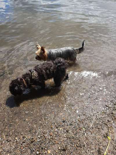 Eure schönsten Fotos mit Wasser-Beitrag-Bild