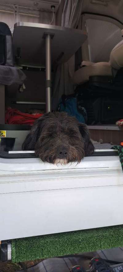 17. Farben Foto Challenge: Pastellfarben-Beitrag-Bild