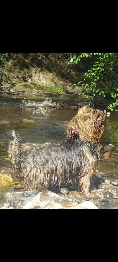 Foto Challenge Nr.133-Beitrag-Bild