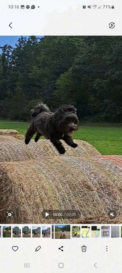 FOTO CHALLENGE Thema ,,durchdrehen"-Beitrag-Bild