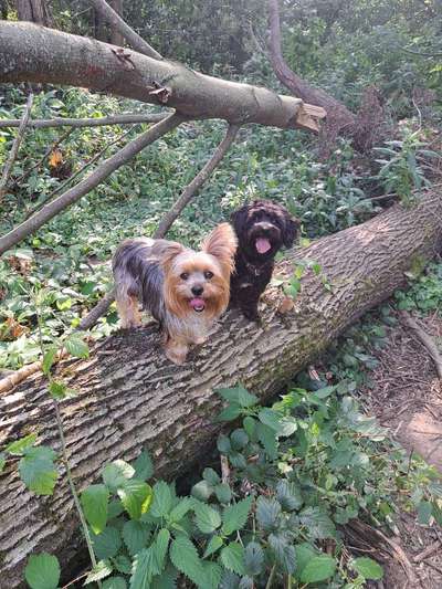 30. Collagen Challenge - Wege/Straßen-Beitrag-Bild