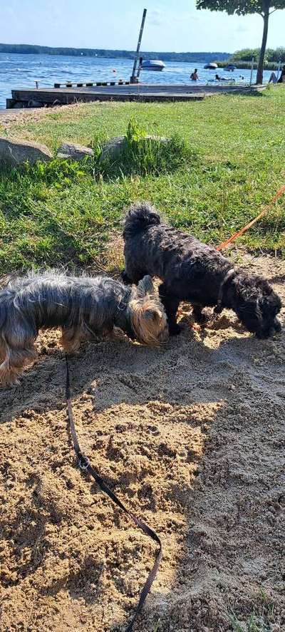 Zeigt eure schönsten Sommerbilder-Beitrag-Bild