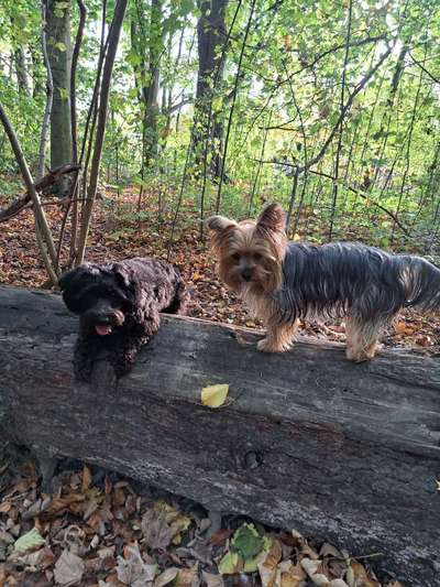 27. Handy Fotochallenge-Beitrag-Bild