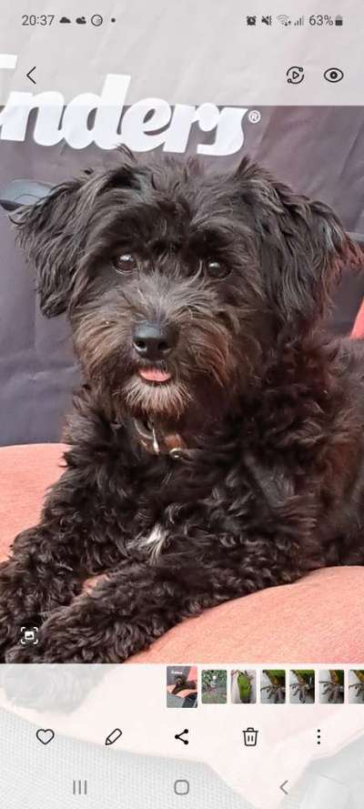 Doppelgänger gesucht !-Beitrag-Bild